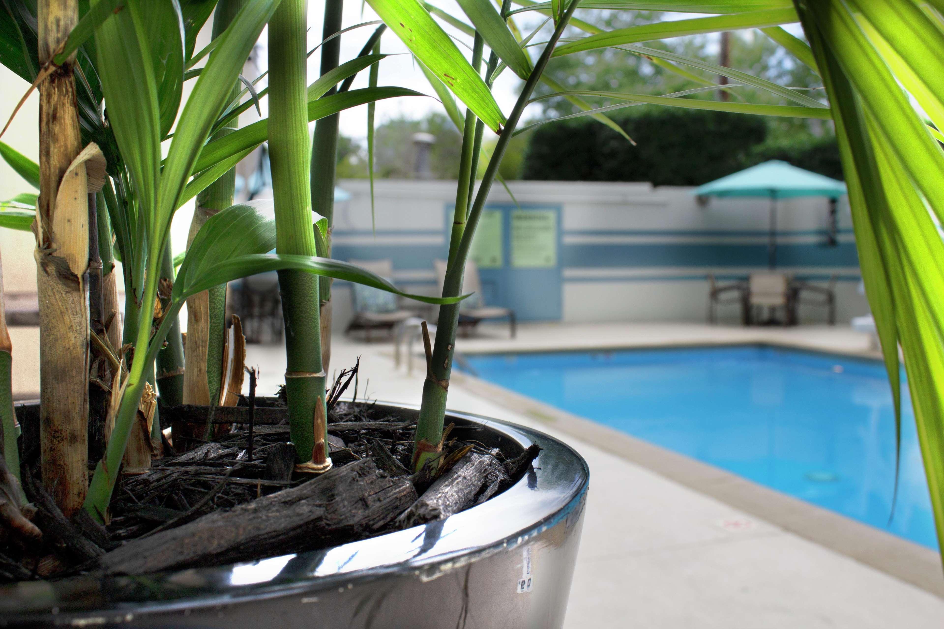 Doubletree By Hilton Charlotte Uptown Hotell Eksteriør bilde